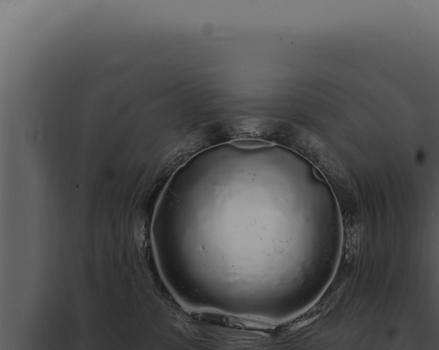 X0000097970331200804011727