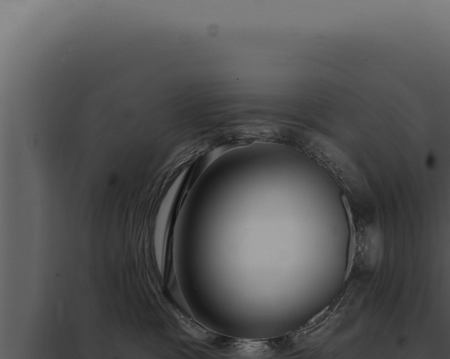 X0000097970333200804011727