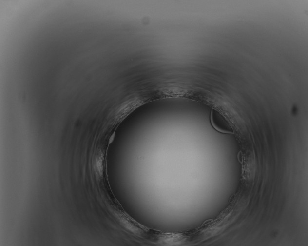 X0000097970334200804011727