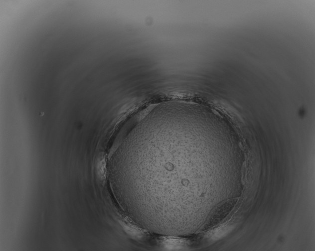 X0000097970336200804011727