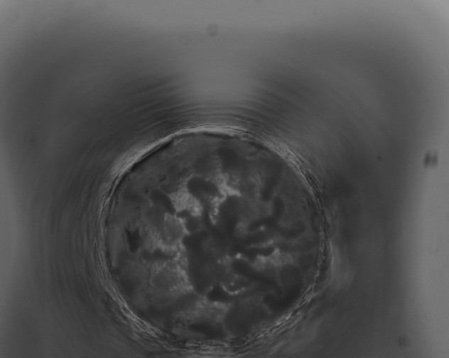 X0000097970337200804011726