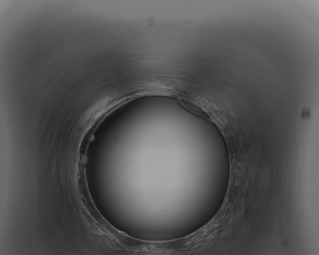 X0000097970338200804011726