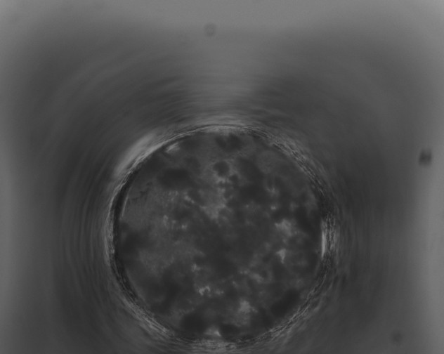 X0000097970339200804011726