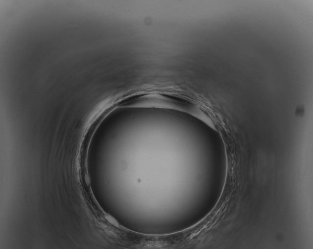 X0000097970340200804011726