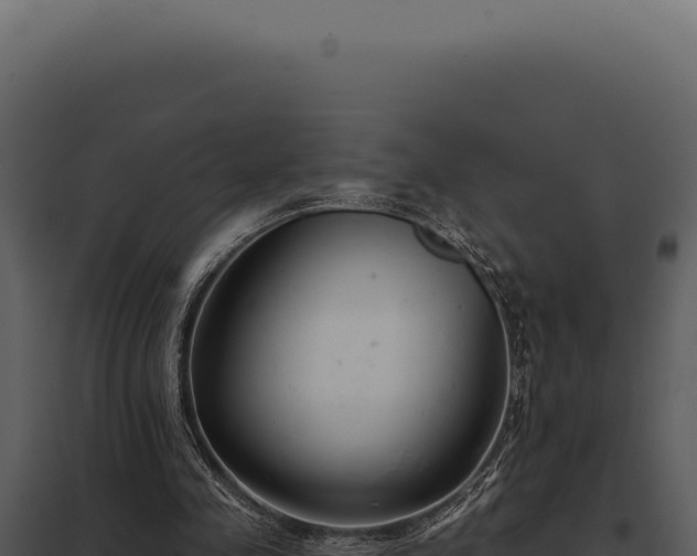 X0000097970341200804011726