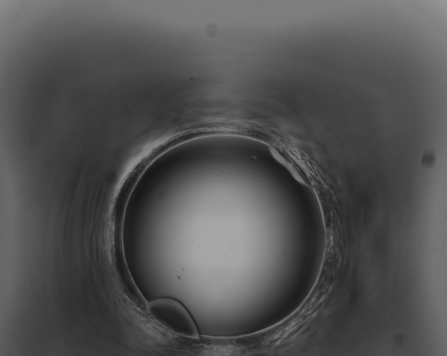 X0000097970342200804011726