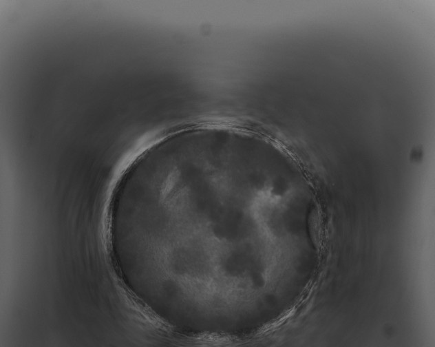 X0000097970343200804011726