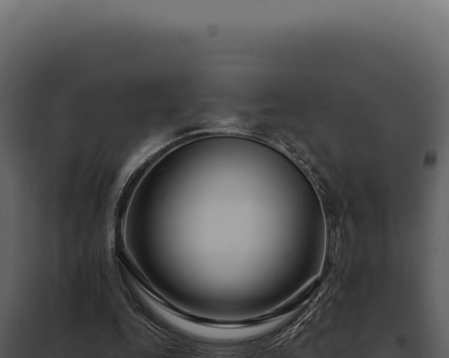 X0000097970344200804011726