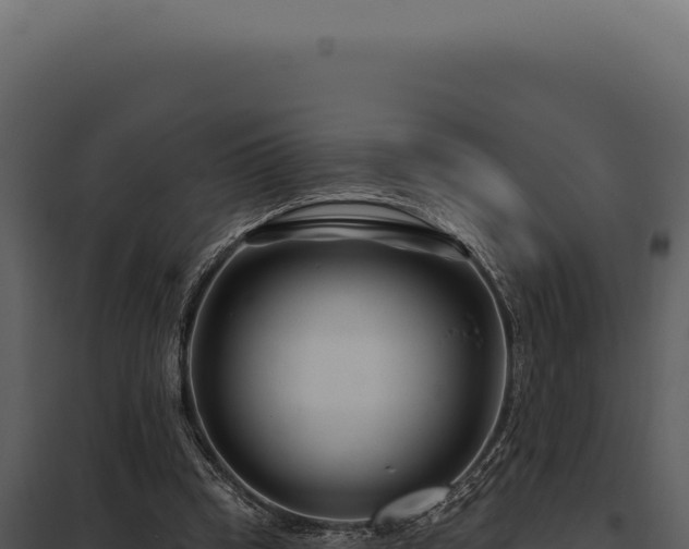 X0000097970345200804011726