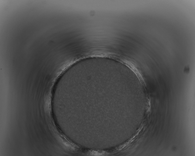 X0000097970346200804011726