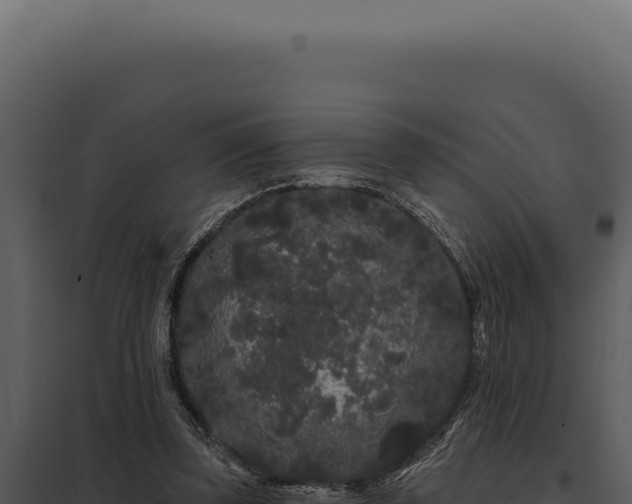 X0000097970347200804011726