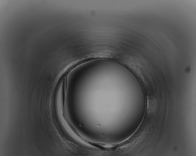 X0000097970348200804011726