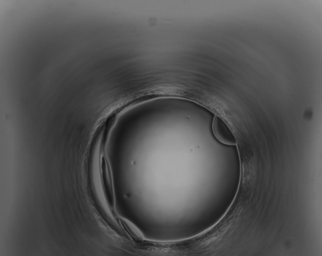 X0000097970349200804011726