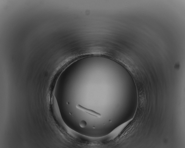 X0000097970350200804011726