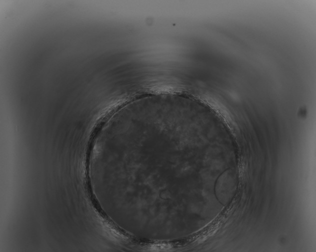 X0000097970353200804011726