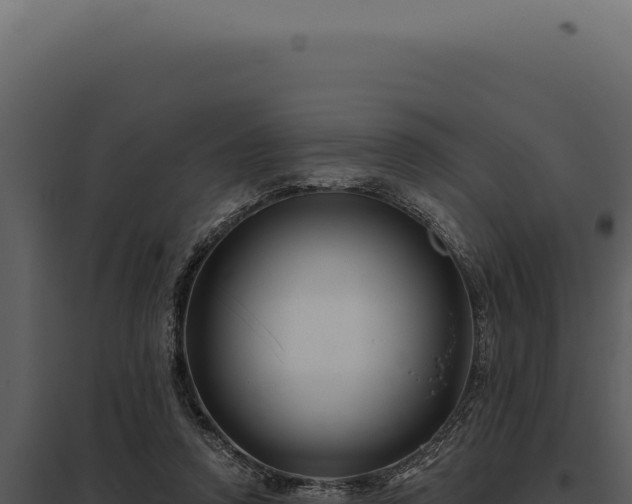 X0000097970354200804011726