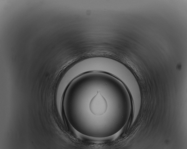 X0000097970356200804011726