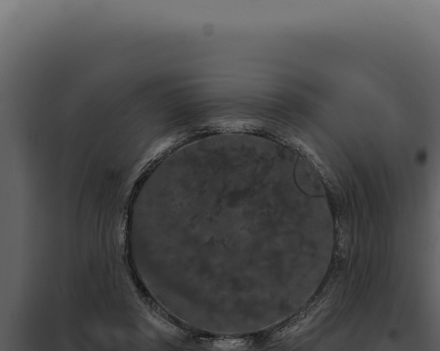 X0000097970357200804011726