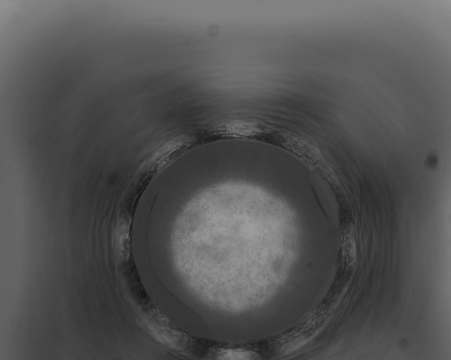 X0000097970360200804011726