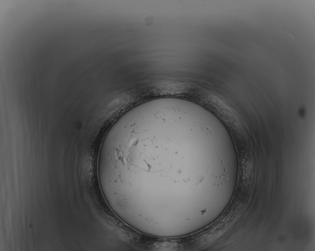 X0000097970362200804011726