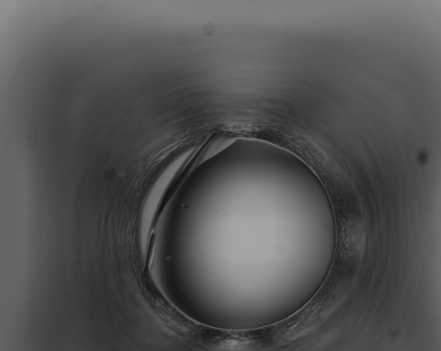 X0000097970364200804011726