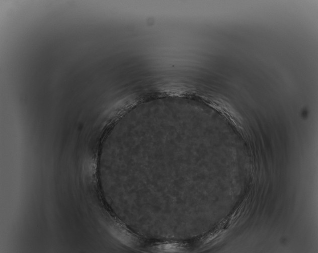 X0000097970365200804011726