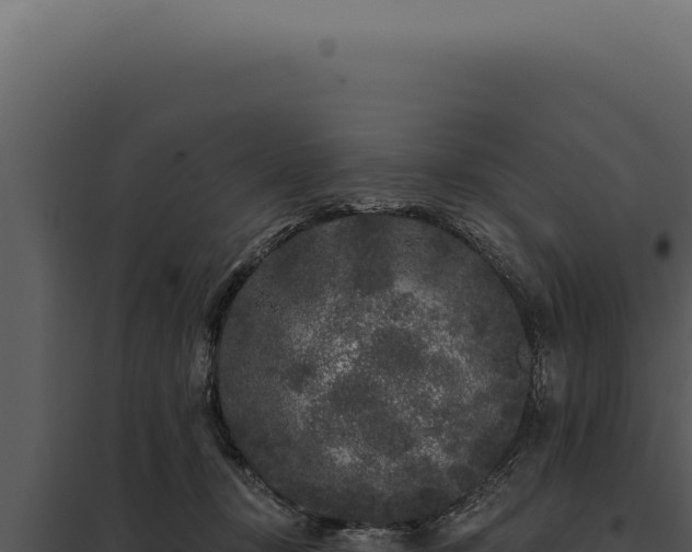 X0000097970367200804011726