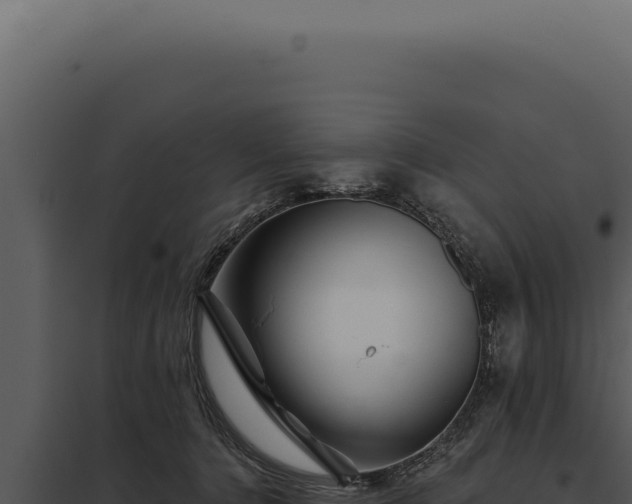 X0000097970368200804011726