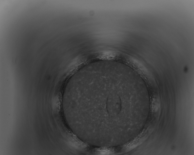 X0000097970370200804011726