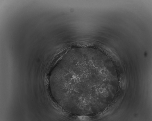 X0000097970371200804011726