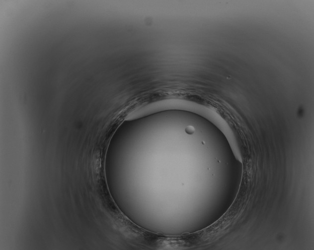 X0000097970372200804011727