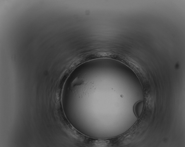 X0000097970373200804011727