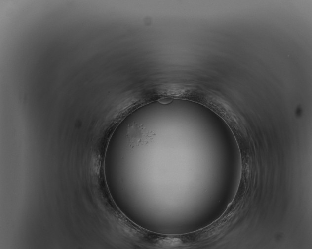 X0000097970374200804011727