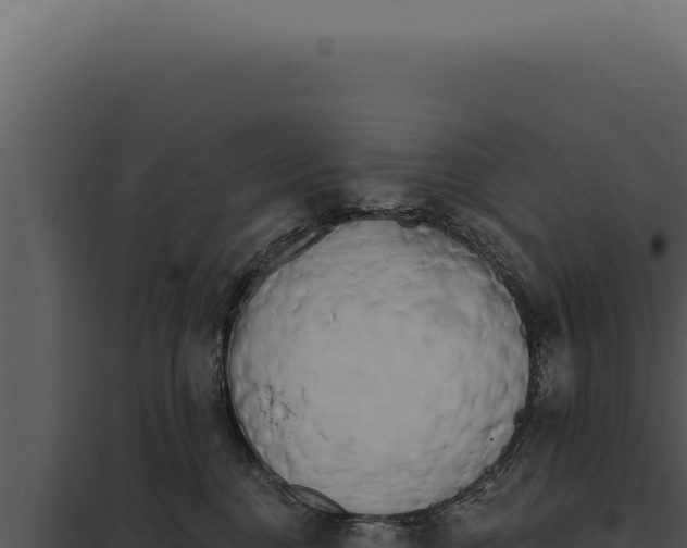 X0000097970376200804011727