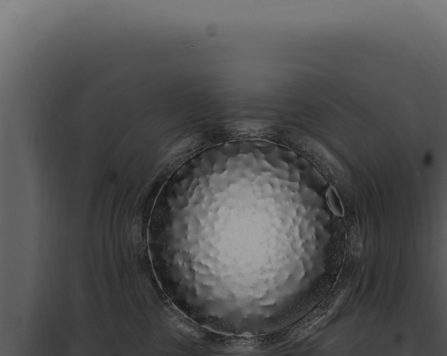 X0000097970377200804011727