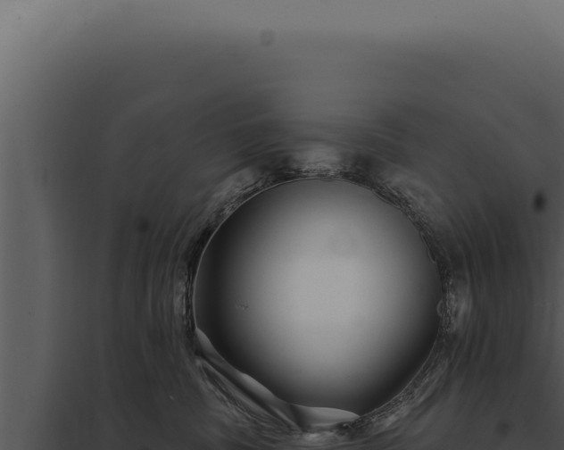 X0000097970379200804011727