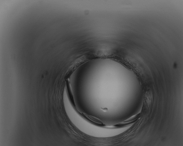 X0000097970380200804011727