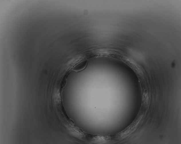 X0000097970381200804011727