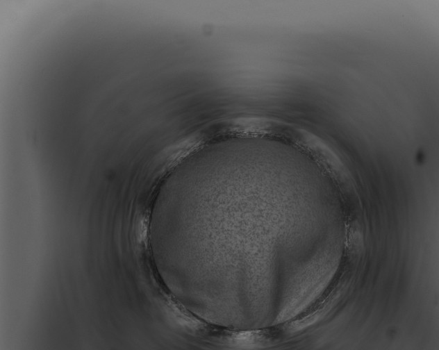 X0000097970382200804011727