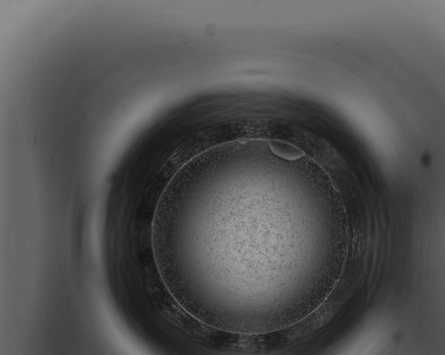 X0000097970383200804011727