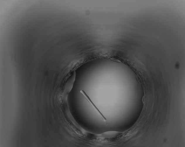 X0000097970384200804011727