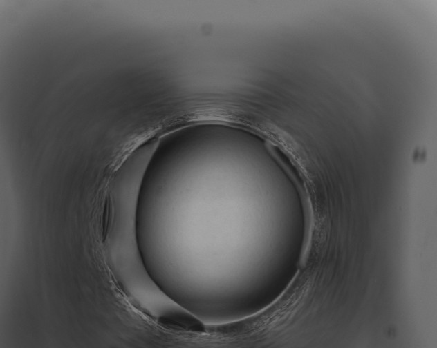 X0000097970385200804011726