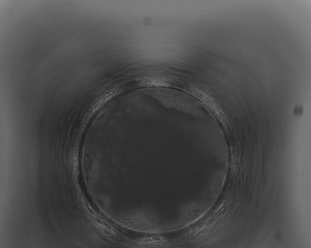 X0000097970386200804011726