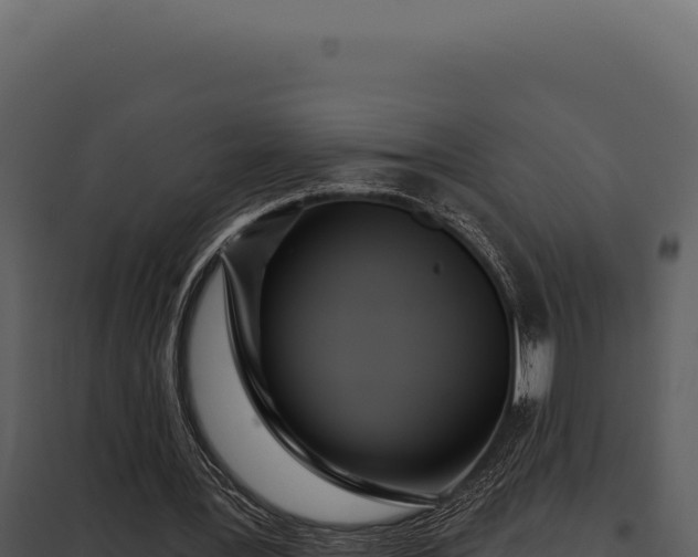 X0000097970387200804011726