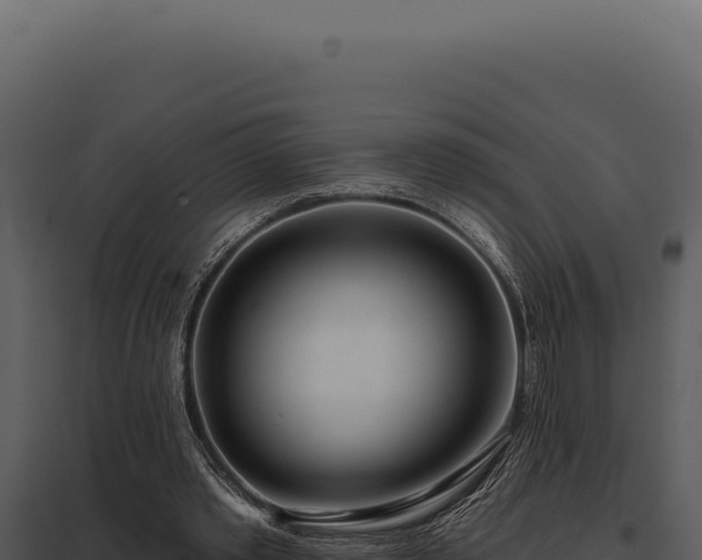 X0000097970389200804011726