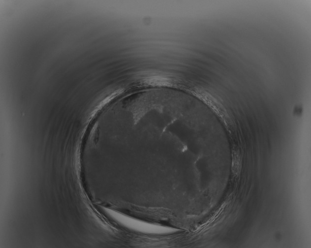 X0000097970390200804011726