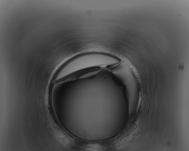 X0000097970391200804011726