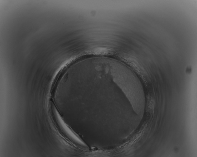 X0000097970392200804011726