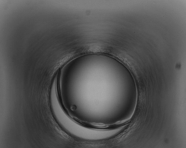 X0000097970393200804011726