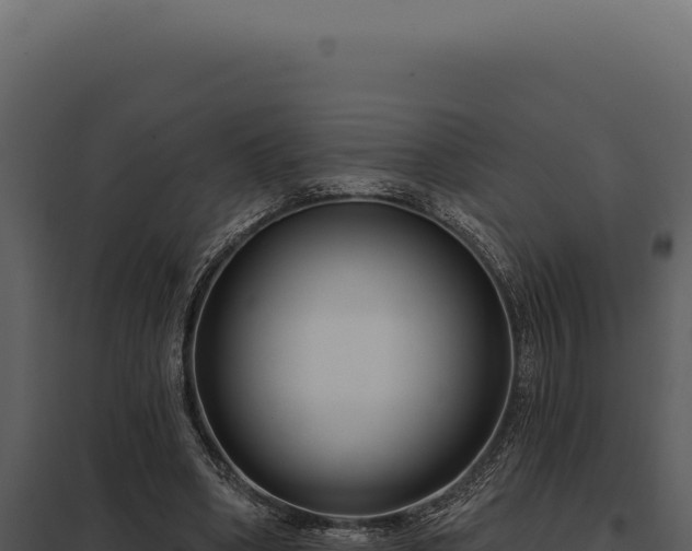 X0000097970394200804011726